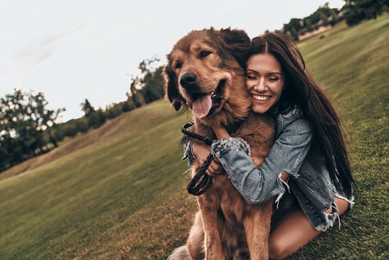 Why Locating CBD Stores Near Me is Crucial for Your Furry Friend's Wellbeing