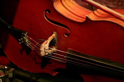the top reasons to consider buying your double bass online