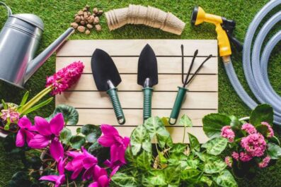 top soil tips for a thriving backyard