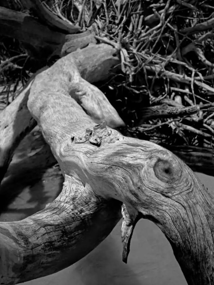 Claudio Basso's Photography Works