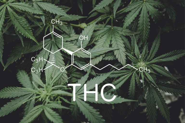 benefits and considerations delta 9 thc in everyday use