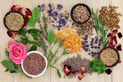 from nature to nurture trends shaping the natural health industry