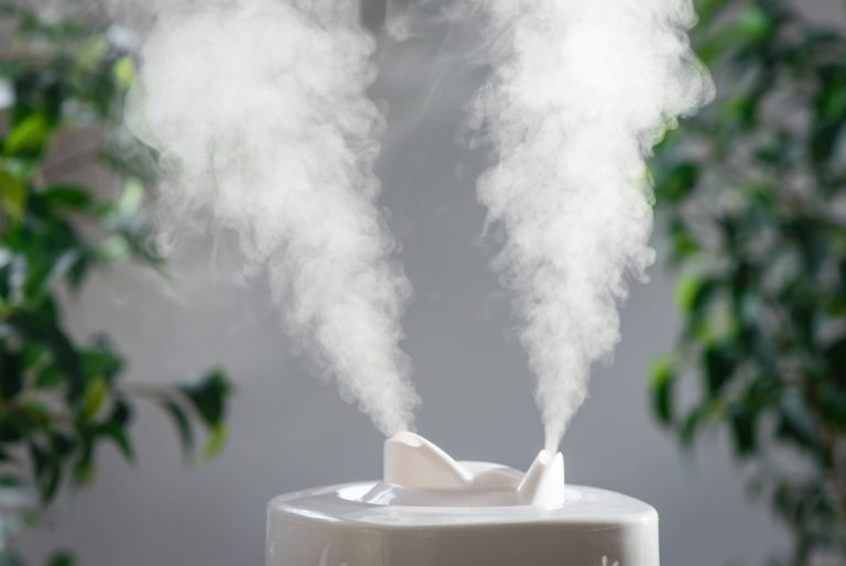 top features to look for in an ultrasonic humidifier