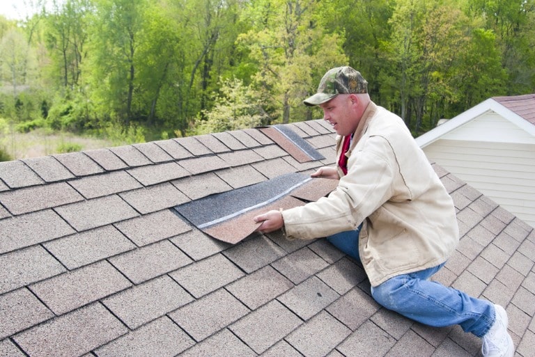 roof maintenance tips for homeowners