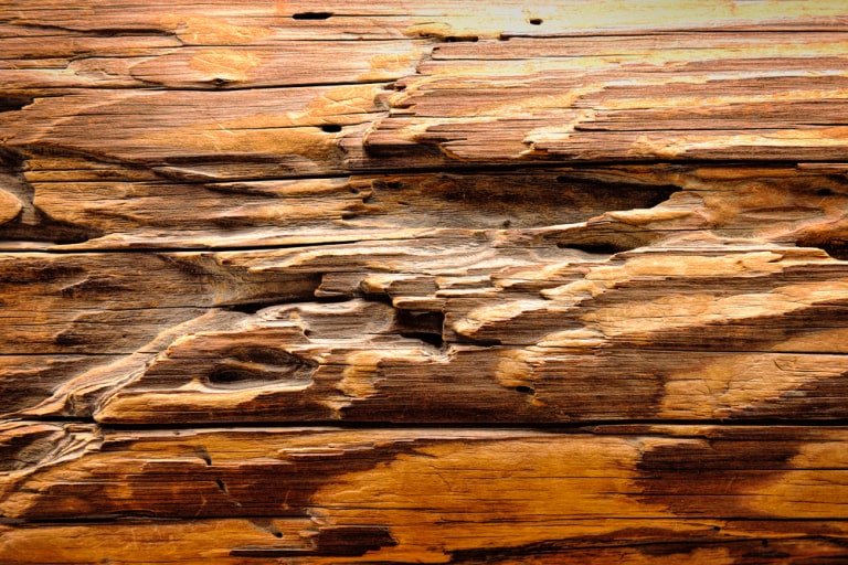 signs-of-wood-rot-every-washington-homeowner-should-watch-for