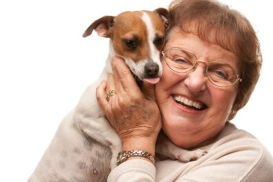 top easy care pets that offer love laughter and senior support