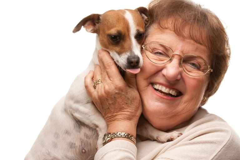 top easy care pets that offer love laughter and senior support