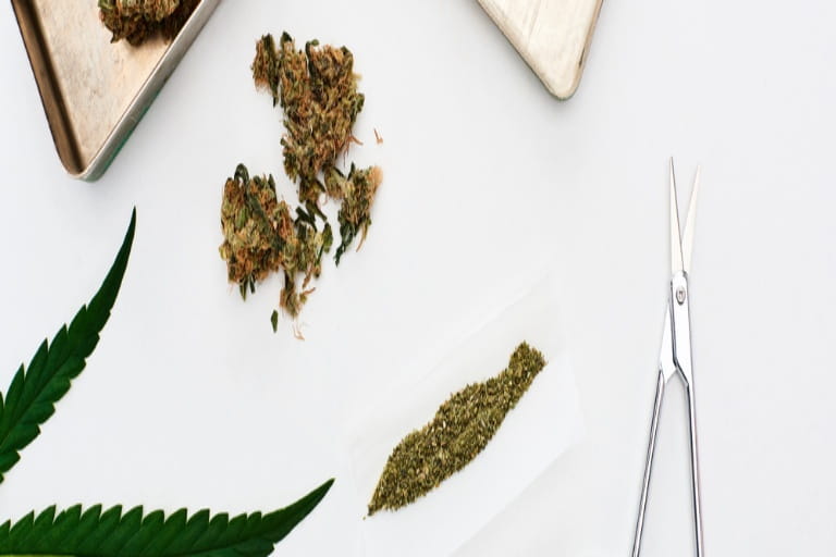 Factors To Consider When Choosing a Weed Dispensary