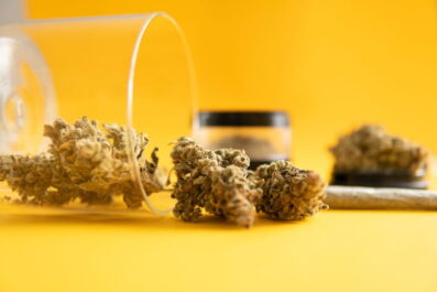 Best Cannabis Dispensary Options for Safe Shopping